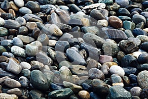 Wet colorful stones. Beautiful natural background image