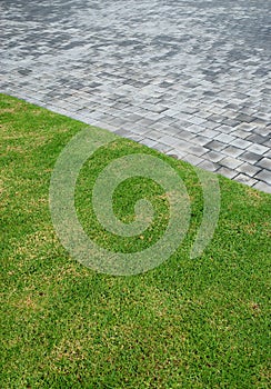 Wet concrete paving and green lawn