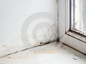 Wet corner of window frame with mold