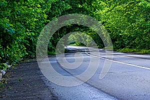 a wet curved asphalt road runs through the forest forming green arches of branches