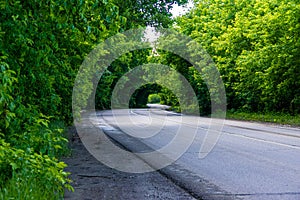 a wet curved asphalt road runs through the forest forming mysterious green arches from the branches