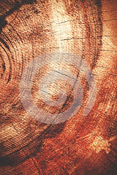 Wet dark redwood texture background