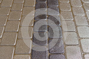 Wet decorative dark and light tiles