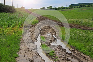 Wet dirt road leading to the village after rain. Toned background