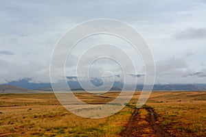 A wet dirt road leads into the Prescott Valley Landscape