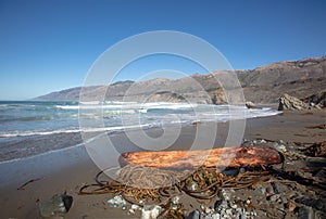 Wet driftwood log on Ragged Point beach at Big Sur on the Cental Coast of California United States photo