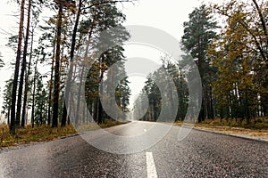Wet empty asphalt road through forest in foggy rainy autumn day, highway in rural landscape