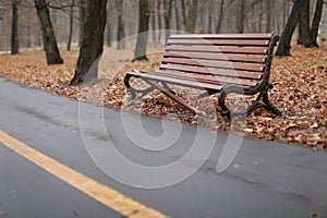 Wet empty wooden bench with rain drops in the autumn park