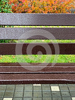 Wet empty wooden bench with rain drops in