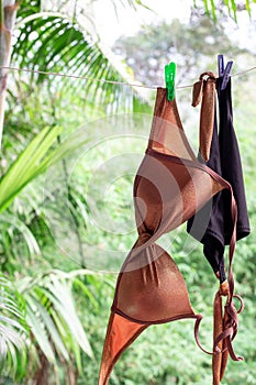Wet female swimsuit hanged on a rope and dries in the sun against a rainforest