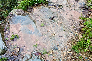 wet footpath on terraced hill in Dazhai