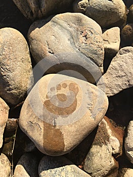 Wet footprint on stone