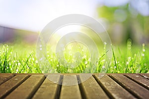 Wet grass field in sunny morning