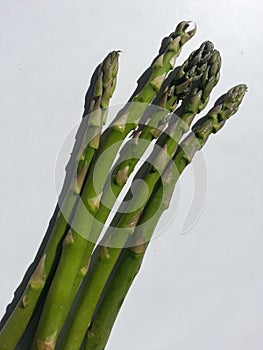 Wet green fresh asparagus on white background