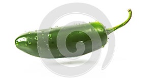 Wet Green jalapeno hot pepper with water drops