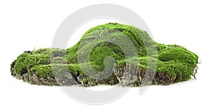 Wet green mossy hill isolated on white background. Green moss with grass