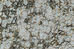 Wet hardened porous clay. Natural texture