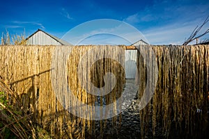 Wet jute fibers have been hung for drying