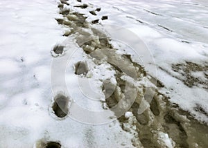 Wet lake surface, footprints on ice, snow texture