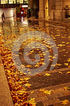 Wet leaves on the road in rain in london and the illuminated path