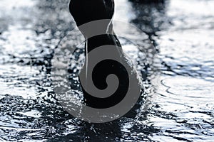 Wet leg of a sport horse during washing in stable.