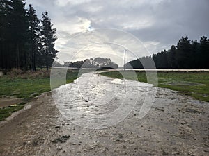 Wet Limestone Forestry Road, Tantanoola