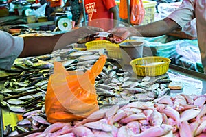 Wet market fresh fish photo