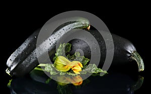 Wet mature courgettes with flowers on black background