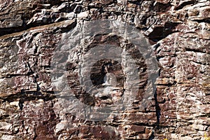 Abstract Rocky Background Texture