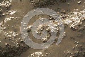 Wet mud texture