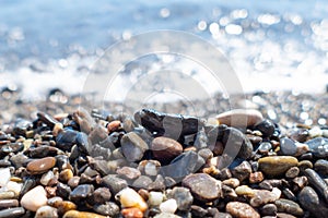 Wet multicolored sea pebbles on seashore