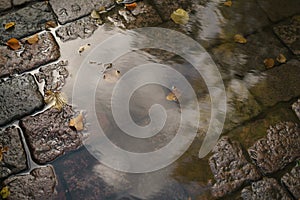 Wet old pavement with puddle and autumn leaves