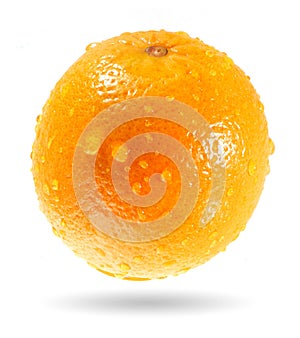 Wet orange