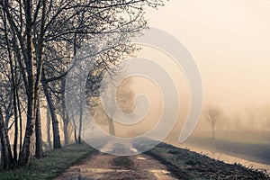 A wet path besides the river