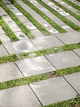 Wet path with concrete tiles
