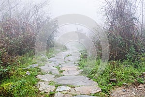 wet path in Tiantouzhai village in spring