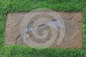 Wet pathway in the garden outdoor forward stepping stones or pebbled in the grass lawn spaces for text.