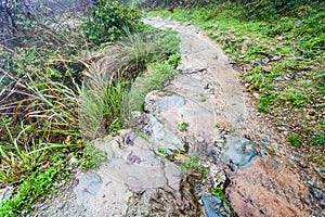 wet pathway on terraced hill in Dazhai