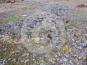 A wet pavement