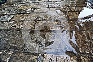 Wet pavement stones