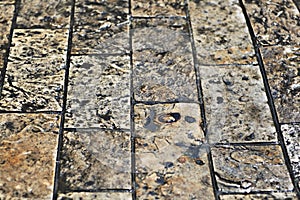 Wet pavement stones