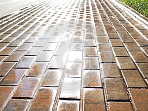 wet paving slabs after rain