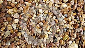 Wet pea shingle gravel pathway