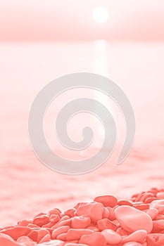 Coral wet pebble stones and water at morning seaside