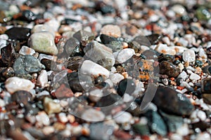 Wet pebbles on the beach. background with wet round multi-colored pebbles stones