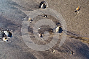 Wet pebbles on beach