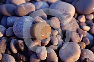 Wet pebbles on the beach at sunset