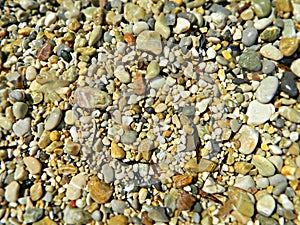 Wet pebbles on sea beach, close up