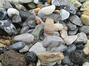 Wet pebbles shaped by water