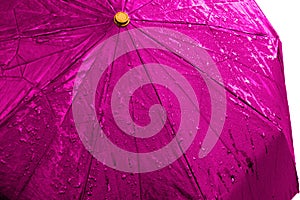 Wet pink umbrella close up image on isolated background. Waterproof fabric cloth with water drops and splashes. Good or bad